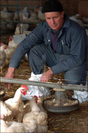 Jean-Pierre Clavet, propriétaire de la ferme biologique Le Crépuscule d'Yamachiche, estime qu'il devra fermer boutique s'il ne trouve plus d'endroit où faire abattre ses poulets.